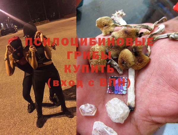 соль ск Ладушкин