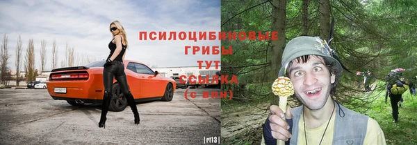 соль ск Ладушкин