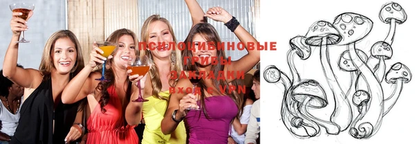 соль ск Ладушкин