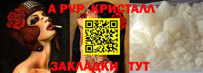 стаф Донской