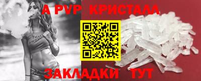 стаф Донской