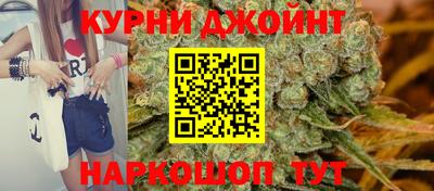 стаф Донской