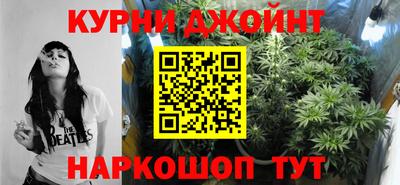 стаф Донской