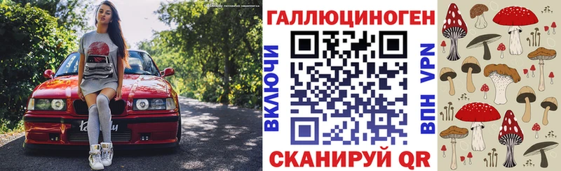 Галлюциногенные грибы Psilocybine cubensis  Урус-Мартан 