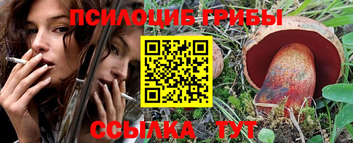 Псилоцибиновые грибы GOLDEN TEACHER  Псилоцибиновые грибы GOLDEN TEACHER  Урус-Мартан  Вход с VPN 