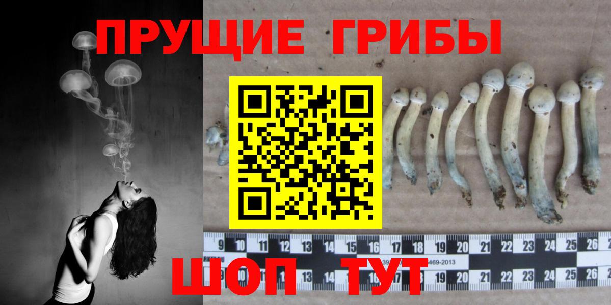 Псилоцибиновые грибы Magic Shrooms Урус-Мартан